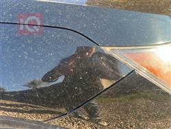 هیۆندای ئەلەنترا